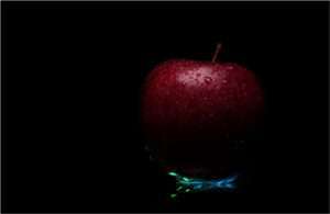 Dev Negi A Professional Photographer