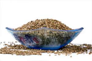 Dev Negi A Professional Photographer