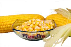 Dev Negi A Professional Photographer